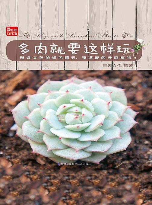 多肉就要这样玩