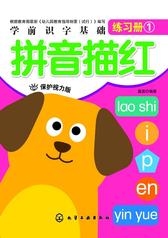 学前识字基础训练拼音描红