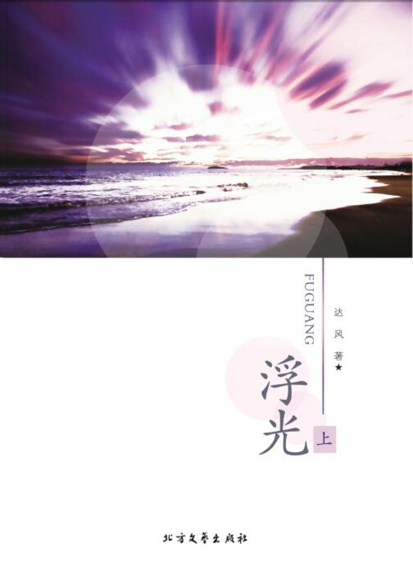 浮光(上)