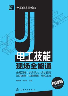 电工技能现场全能通(精通篇)