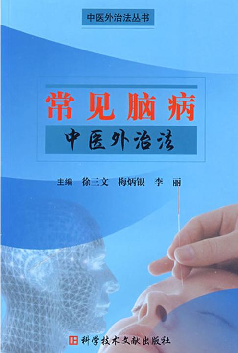 常见脑病中医外治法