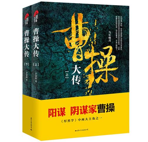 曹操大传(上下册)