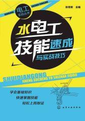水电工技能速成与实战技巧