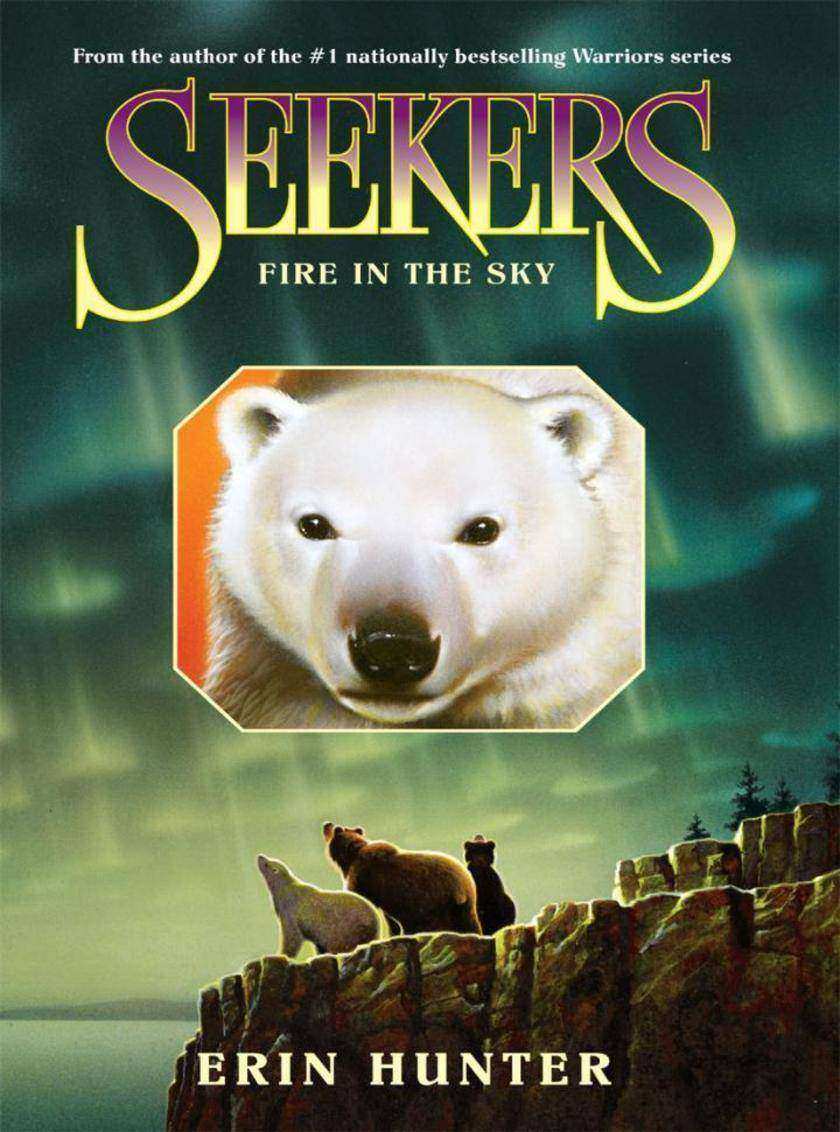 Seekers #5: Fire in the Sky