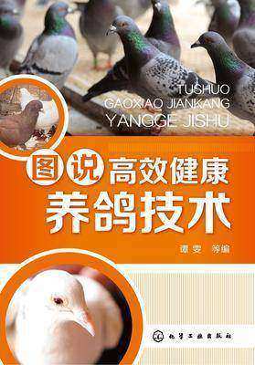 图说高效健康养鸽技术