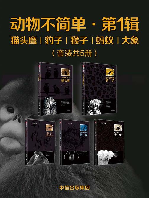 动物不简单·第1辑：猫头鹰、豹子、猴子、蚂蚁、大象