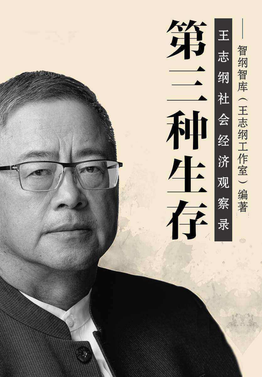 第三种生存:王志纲社会经济观察录
