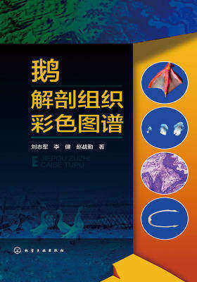 鹅解剖组织彩色图谱