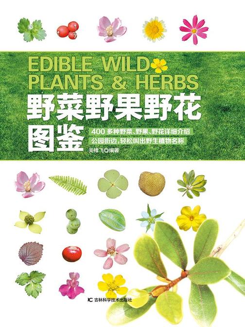 野菜野果野花图鉴