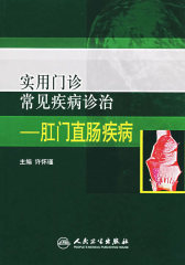 实用门诊常见疾病诊治——直肠肛门疾病(试读本)