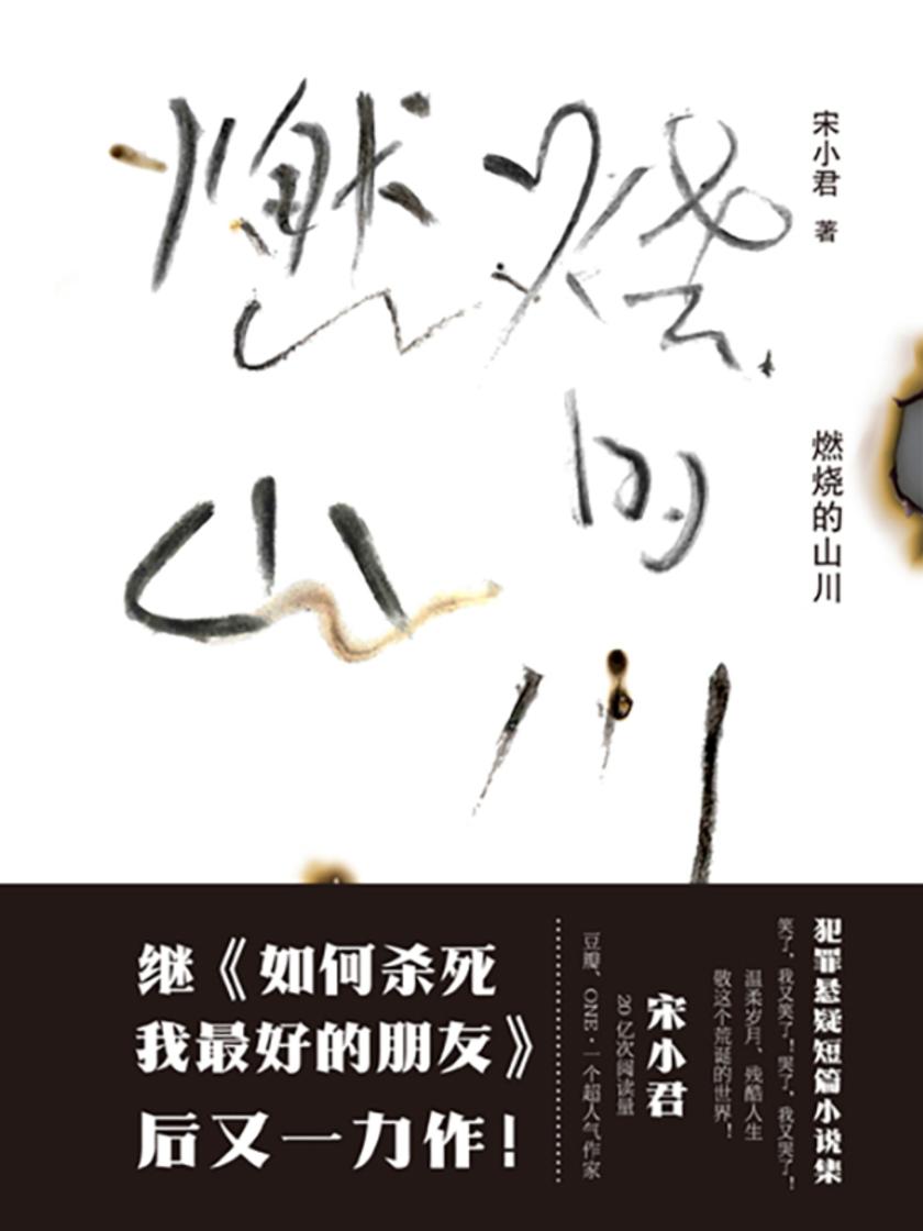 燃烧的山川(继《如何杀死我*好的朋友》后宋小君全新力作,与大冰、张嘉佳同获第十一届影响力作家)