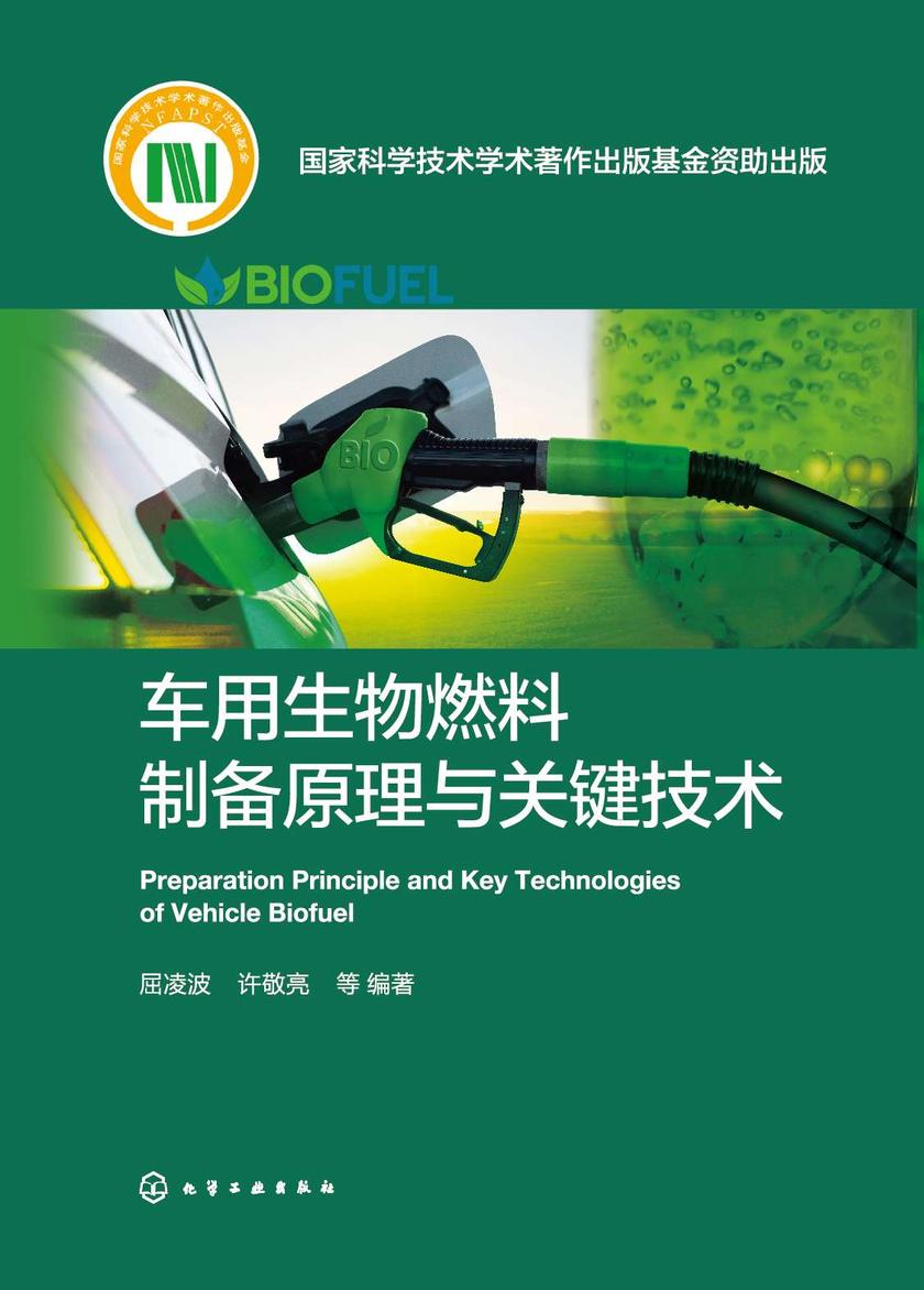 车用生物燃料制备原理与关键技术
