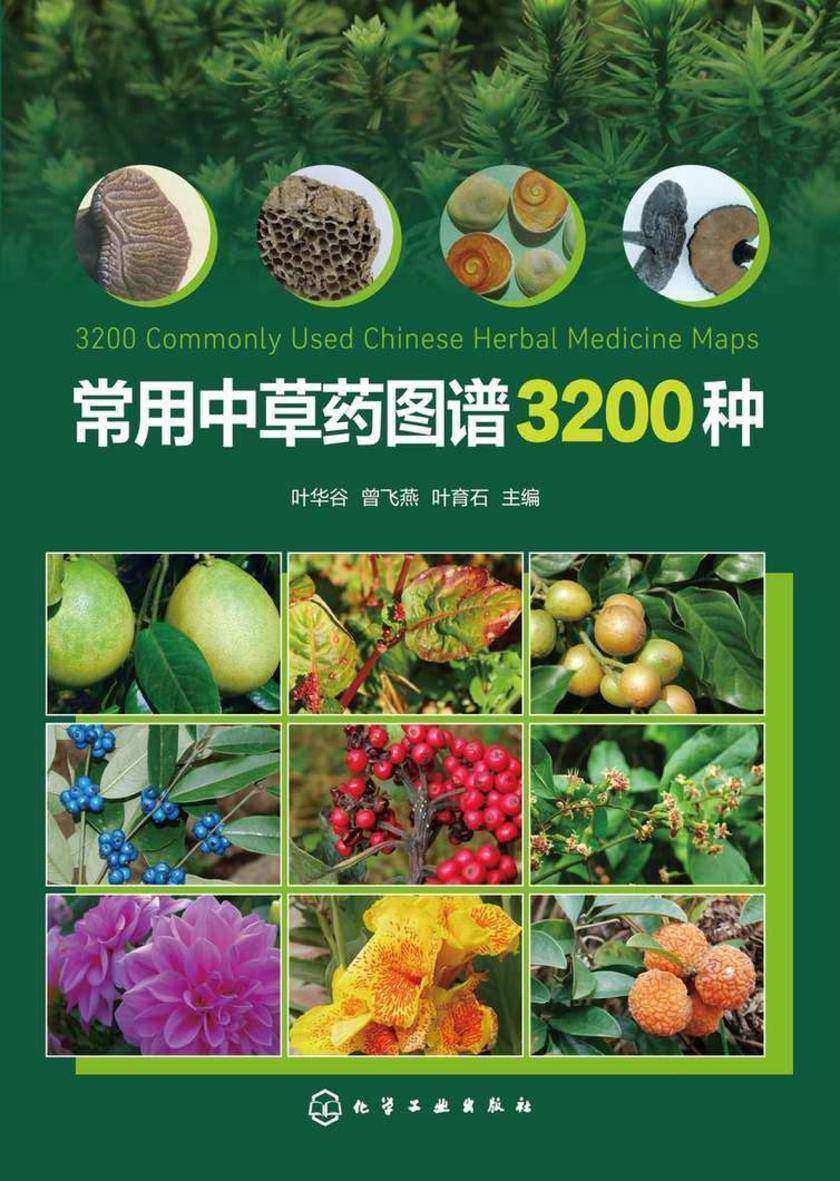 常用中草药图谱3200种