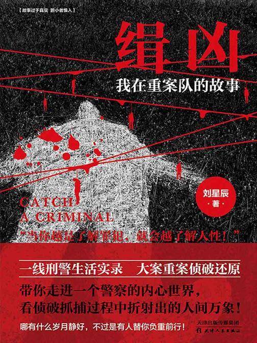 缉凶：我在重案队的故事