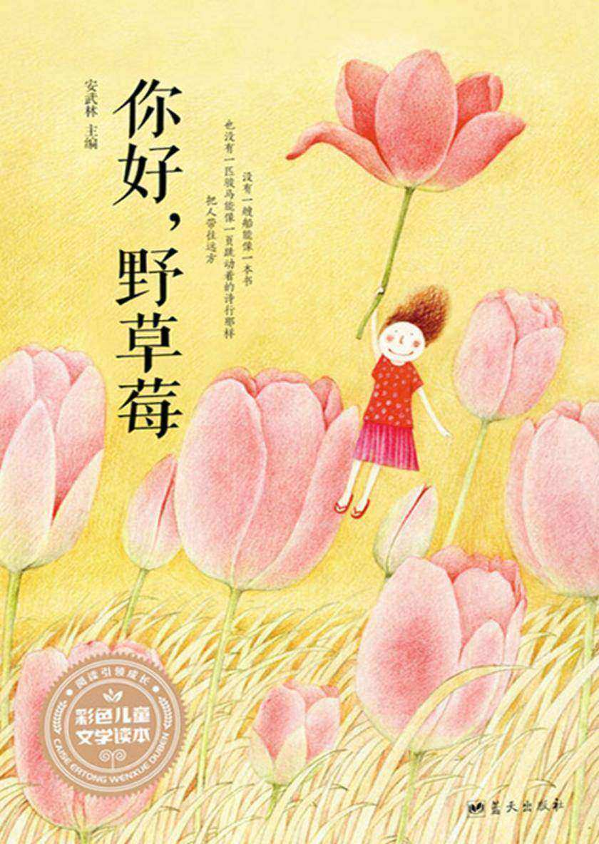 你好，野草莓
