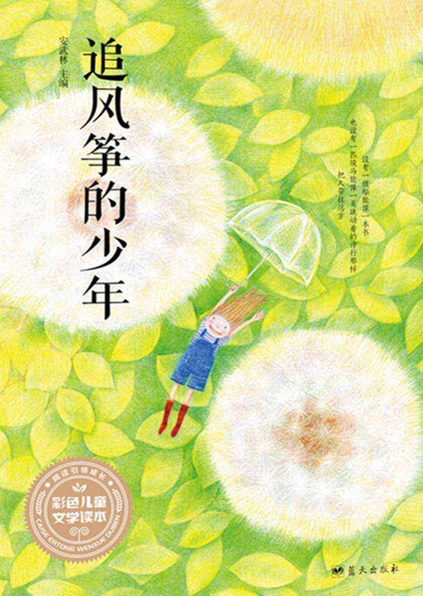 追风筝的少年