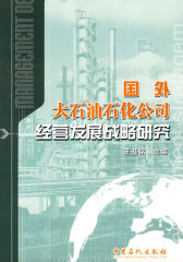 国外大石油石化公司经营发展战略研究(试读本)