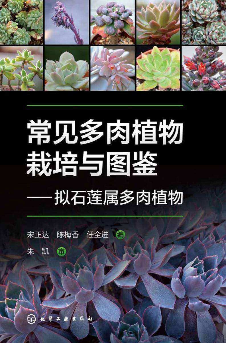 常见多肉植物栽培与图鉴——拟石莲属多肉植物