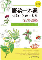 野菜一本通：识别·采摘·食用(彩绘版)