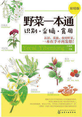 野菜一本通：识别·采摘·食用(彩绘版)