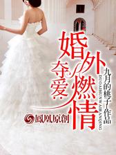 夺爱：婚外燃情