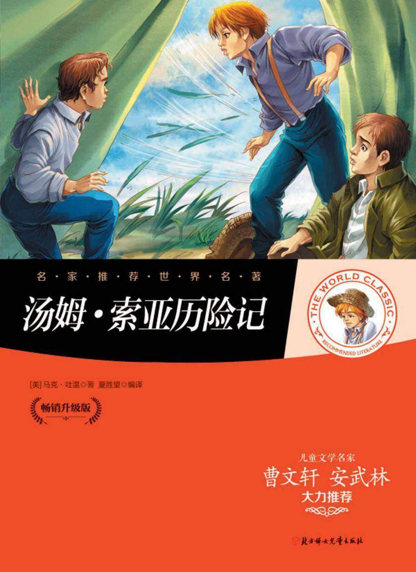 汤姆·索亚历险记