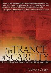 The Trance of Scarcity稀有的呆滞