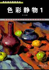 美院培训  范本：色彩静物(仅适用PC阅读)