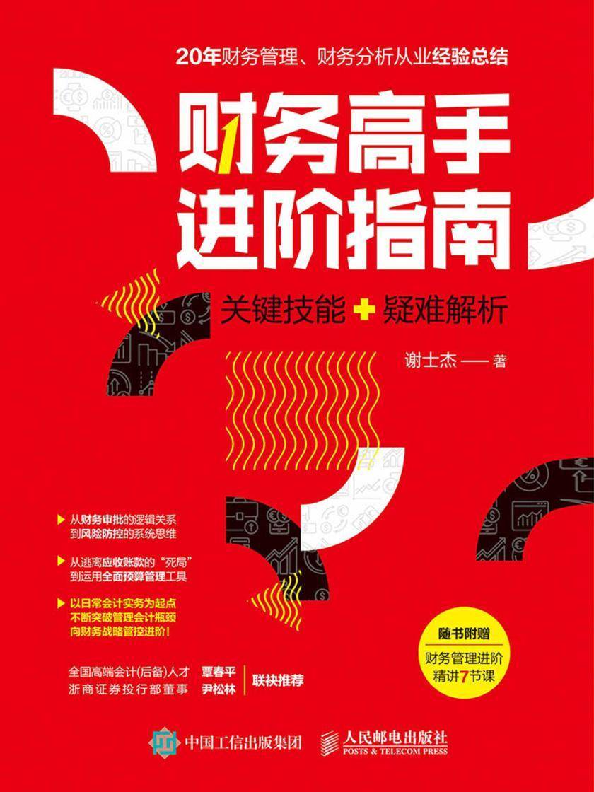 财务高手进阶指南：关键技能+疑难解析