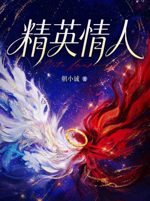 精英情人