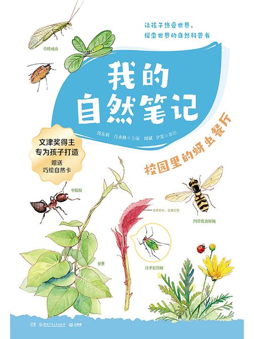 我的自然笔记.校园里的蚜虫餐厅