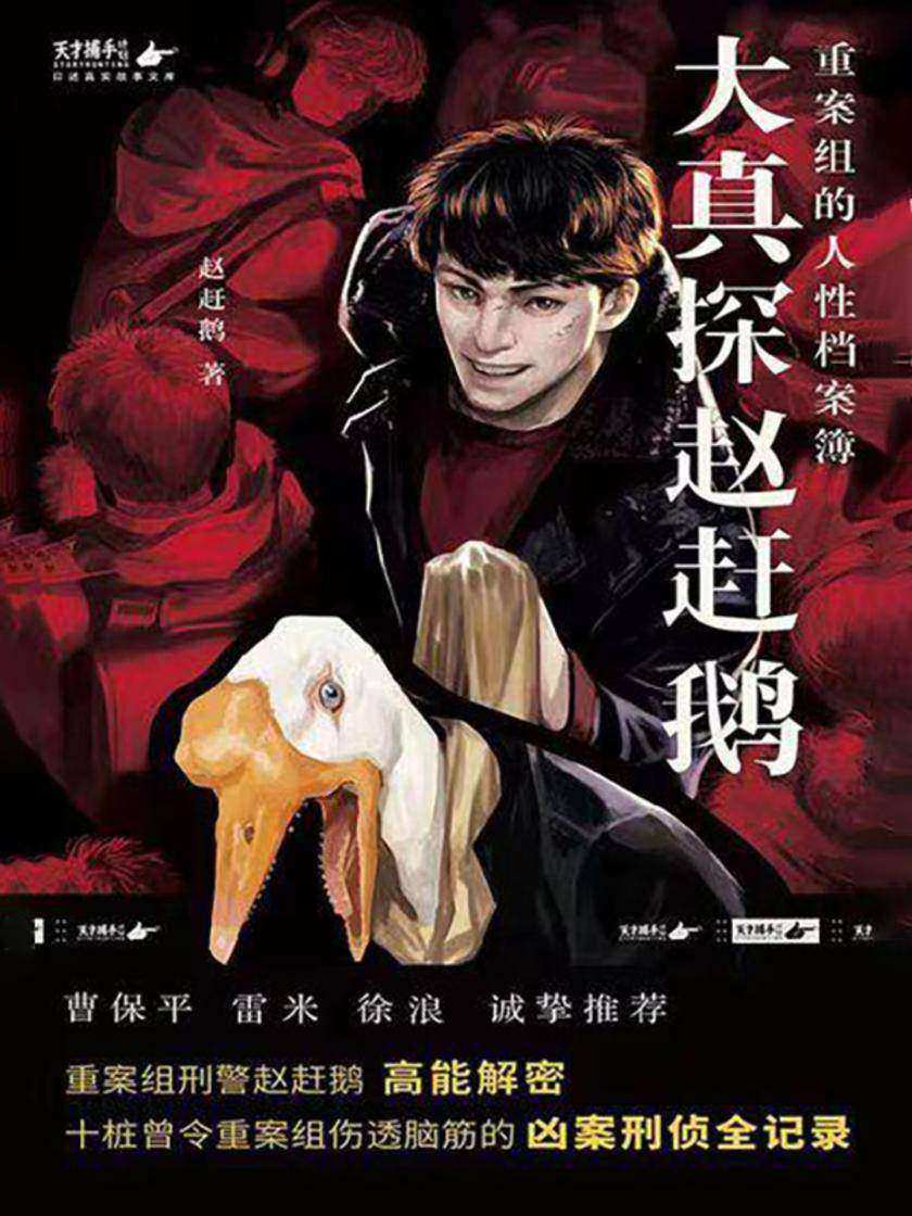 大真探赵赶鹅:重案组的人性档案簿