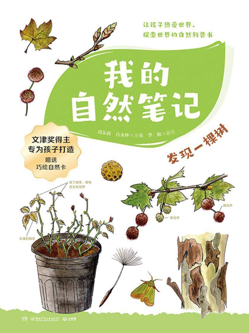 我的自然笔记.发现一棵树