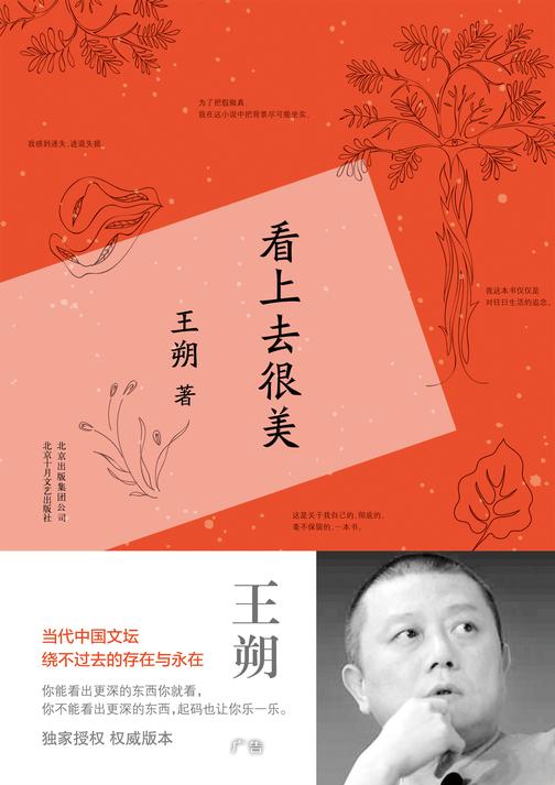 看上去很美（2015版）