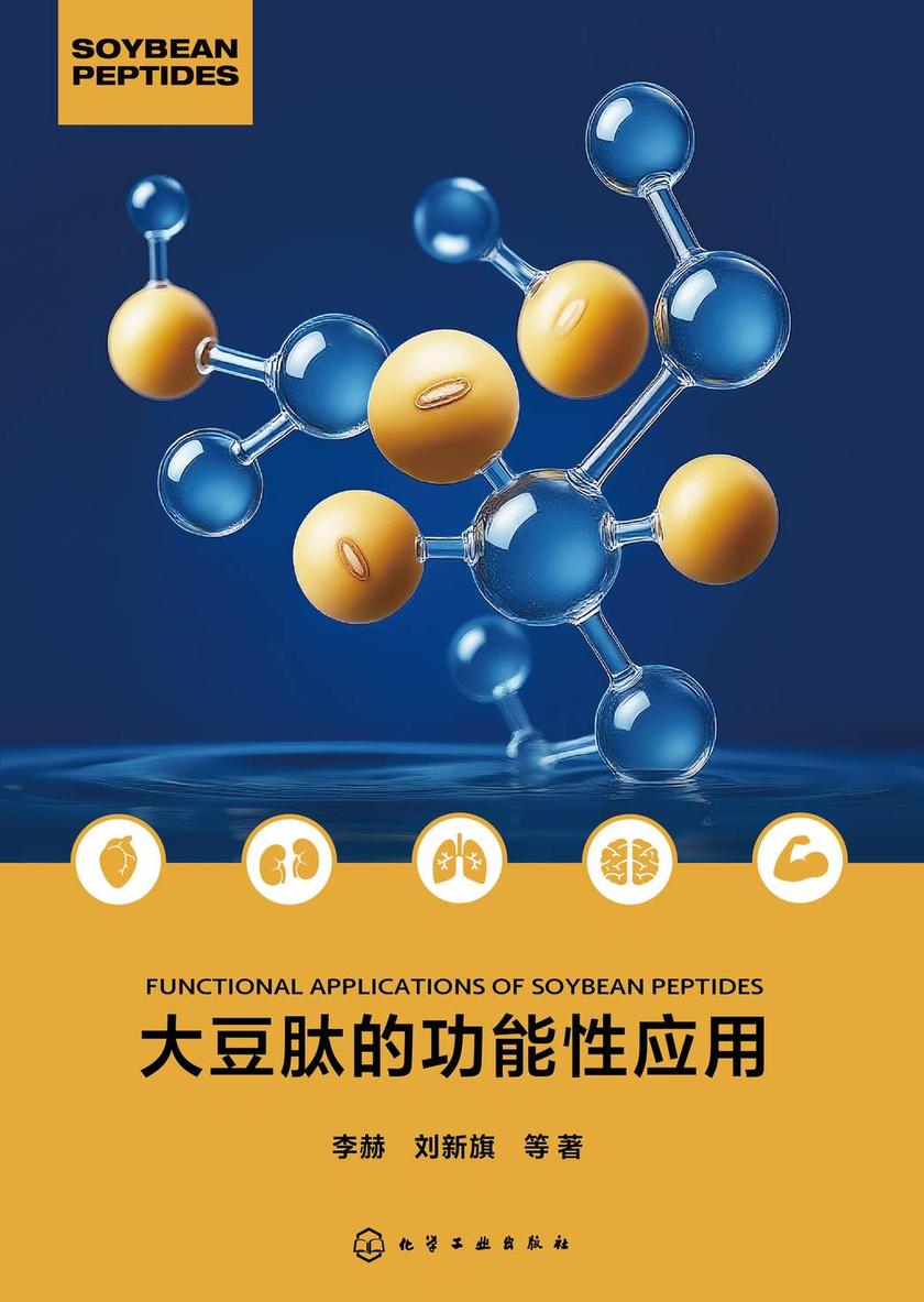 大豆肽的功能性应用