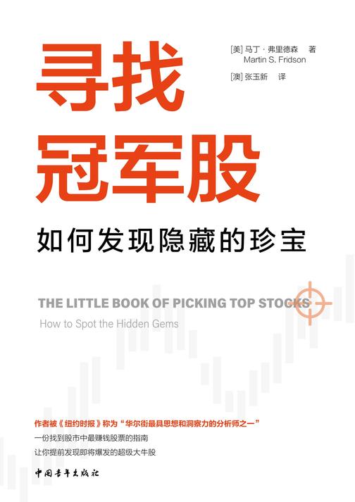 寻找冠军股:如何发现隐藏的珍宝