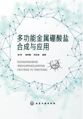 多功能金属硼酸盐合成与应用