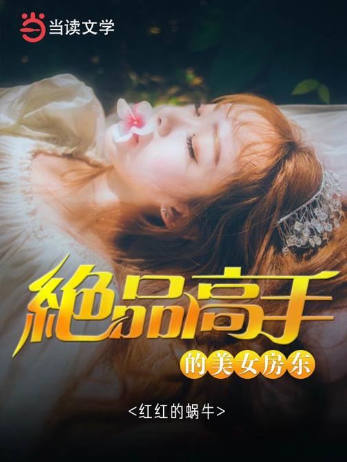 绝品高手的美女房东