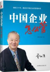 中国企业怎么管(试读本)