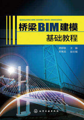 桥梁BIM建模基础教程