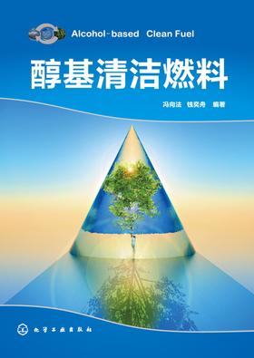 醇基清洁燃料