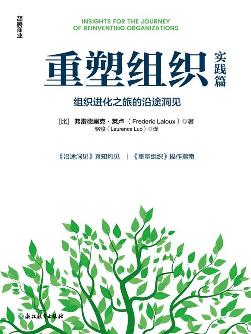 重塑组织实践篇:组织进化之旅的沿途洞见