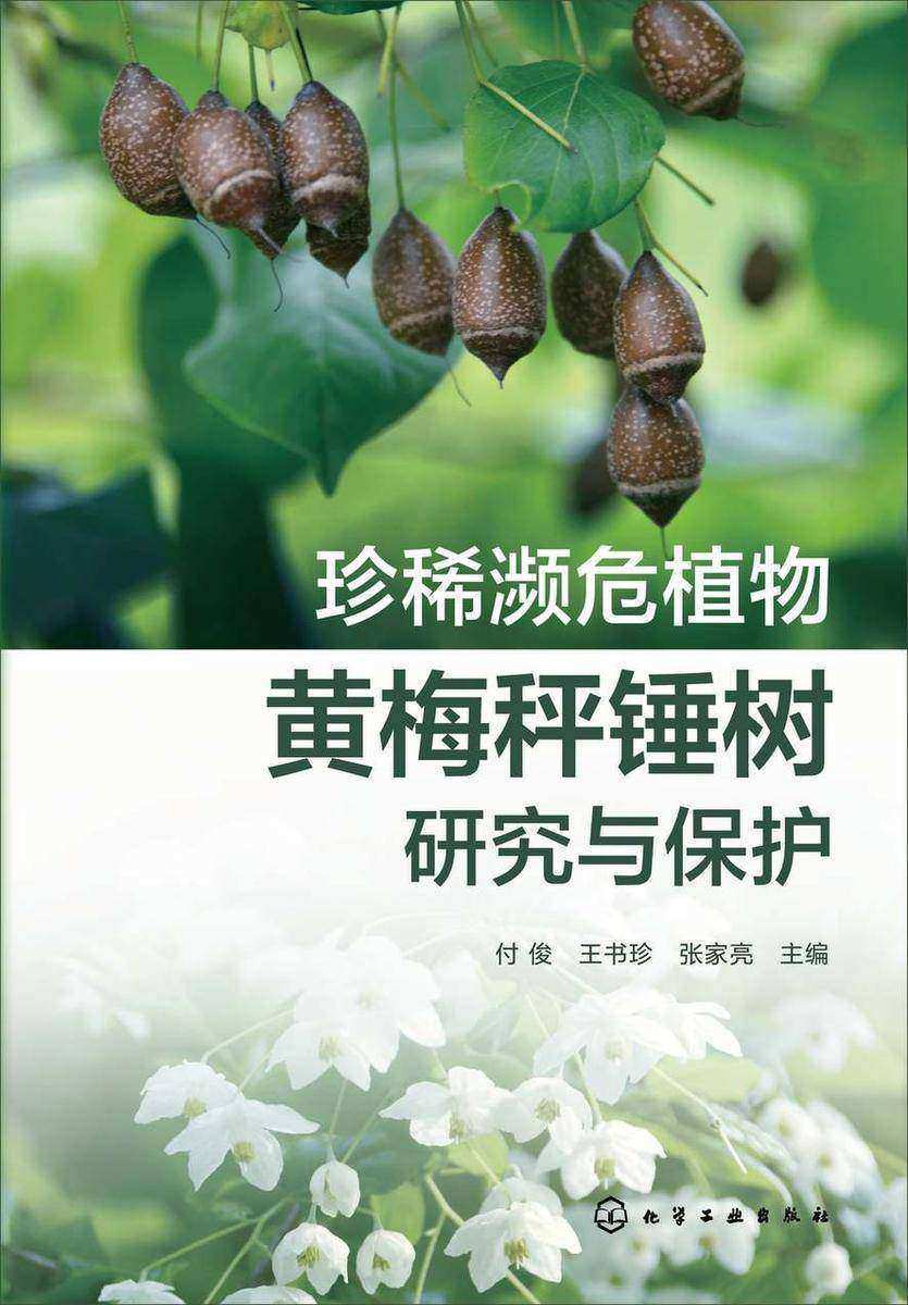 珍稀濒危植物黄梅秤锤树研究与保护