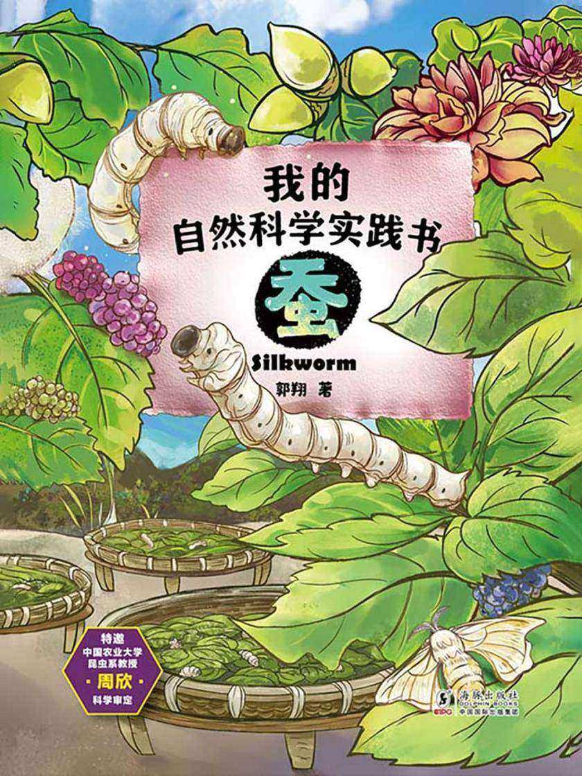 我的自然科学实践书·蚕