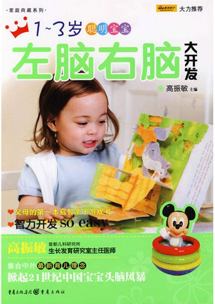 1~3岁聪明宝宝左脑右脑大开发