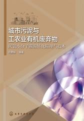 城市污泥与工农业有机废弃物厌氧小分子碳源转化原理与技术