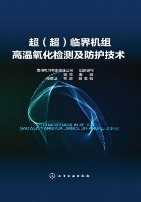 超(超)临界机组高温氧化检测及防护技术