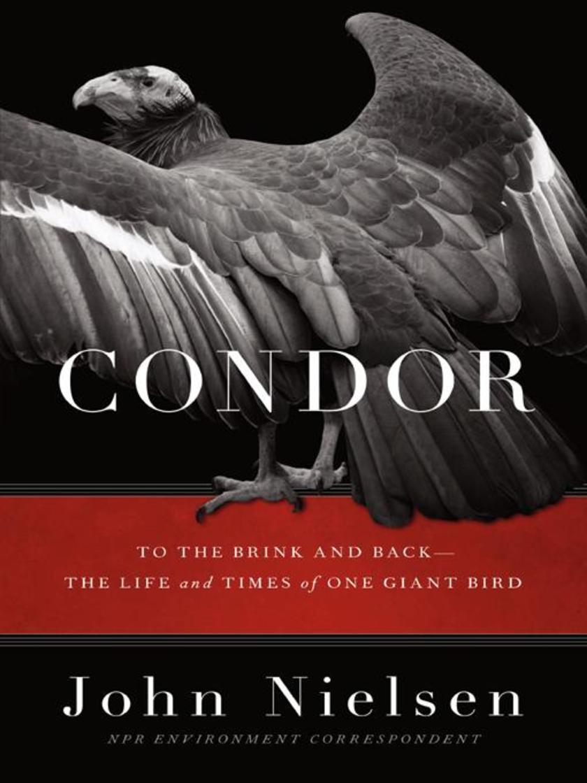 Condor