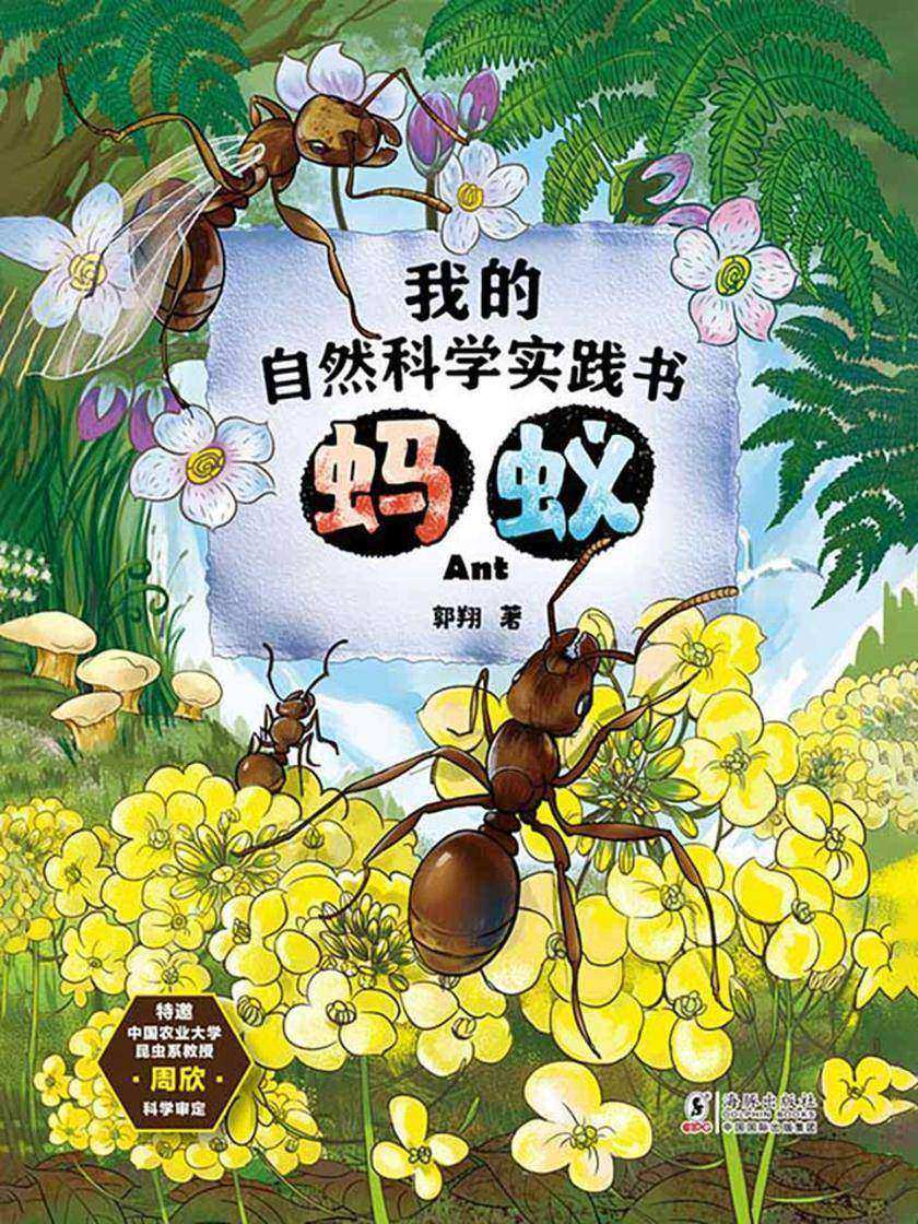 我的自然科学实践书·蚂蚁