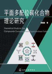 平面多配位碳化合物理论研究